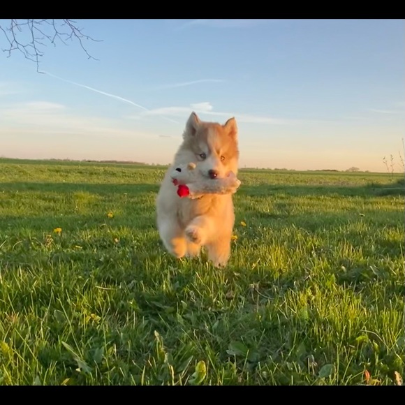 Meet your Posher, Jeaneé Elms - Picture 10 of 13